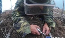 边境士兵爆料视频大全最新,揭秘真实战地生活与英勇瞬间