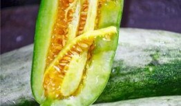 四川网红吃瓜,揭秘网络红人的幕后故事