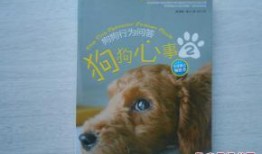 狗狗心事在线观看